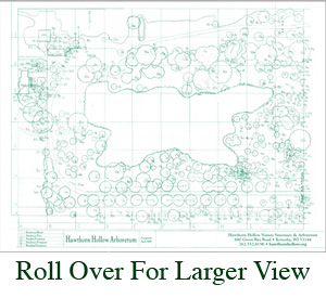 Arboretum Map